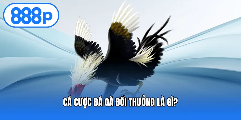 Cá cược đá gà đổi thưởng là gì