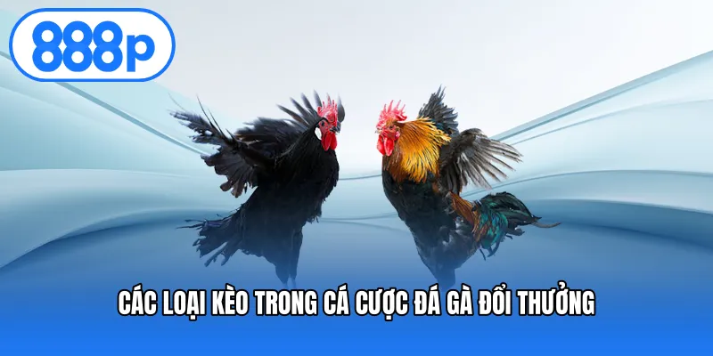 Các loại kèo trong cá cược đá gà đổi thưởng