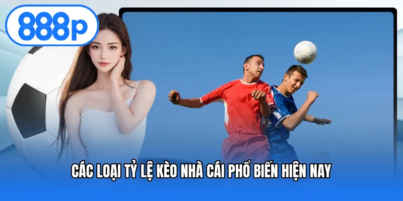 Các loại tỷ lệ kèo nhà cái phổ biến hiện nay