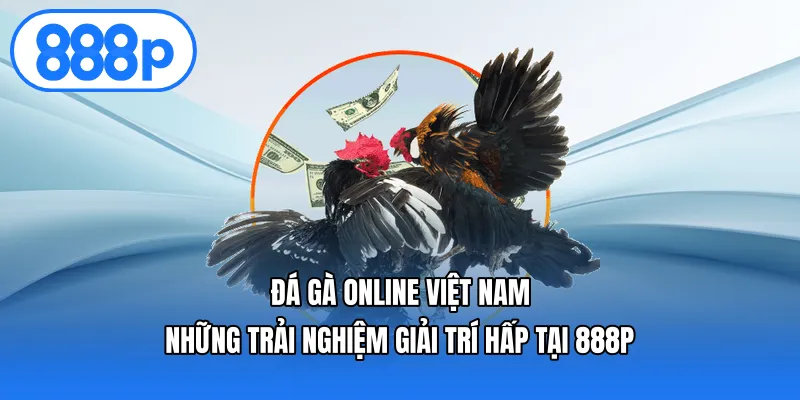 Đá Gà Online Việt Nam Những Trải Nghiệm Giải Trí Hấp Tại 888p