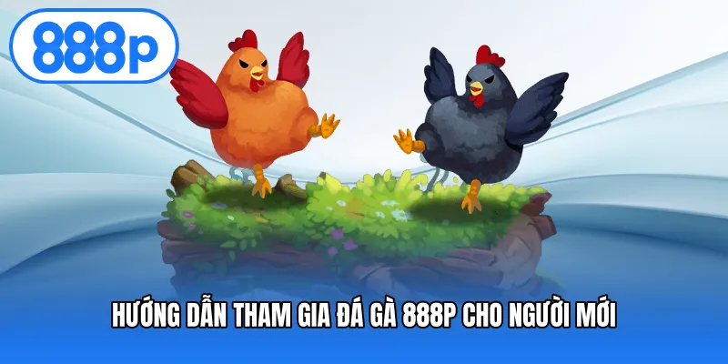 Hướng dẫn tham gia đá gà 888P cho người mới
