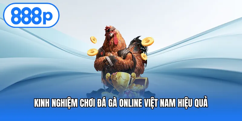 Kinh nghiệm chơi đá gà online Việt Nam hiệu quả