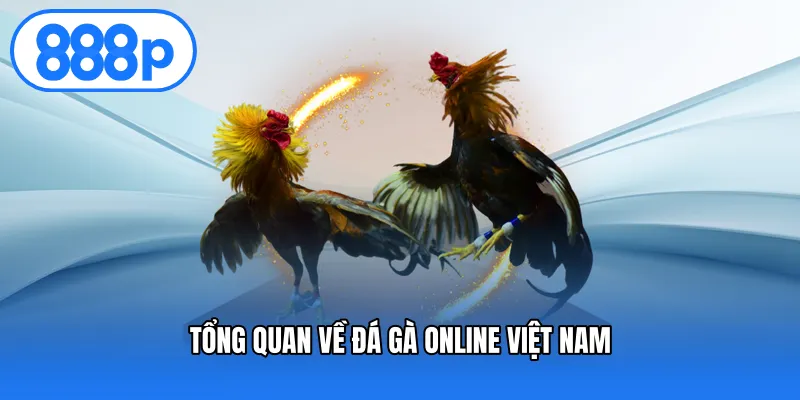 Tổng quan về đá gà online Việt Nam